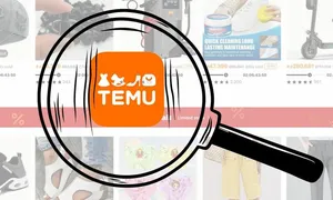 Người Việt bất ngờ vì hàng trên Temu 'không rẻ và nhanh'